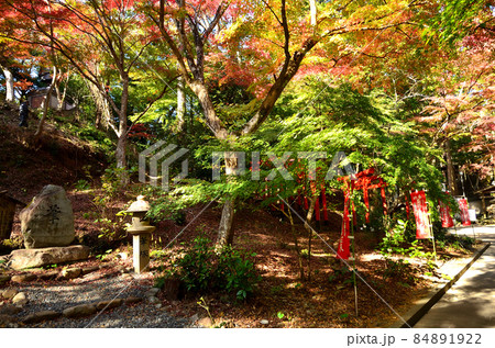 油山寺 境内 油山寺 境内 84891922