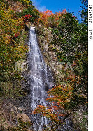 《兵庫県》晴れの日、天滝渓谷の風景【11月】 《兵庫県》晴れの日、天滝渓谷の風景【11月】 84892269