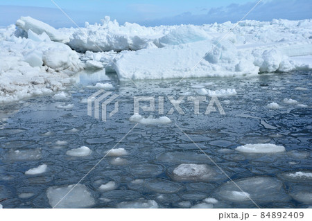 ハスの葉氷 84892409