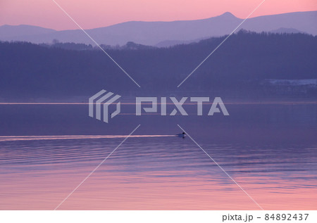 朝焼けの洞爺湖 朝焼けの洞爺湖 84892437