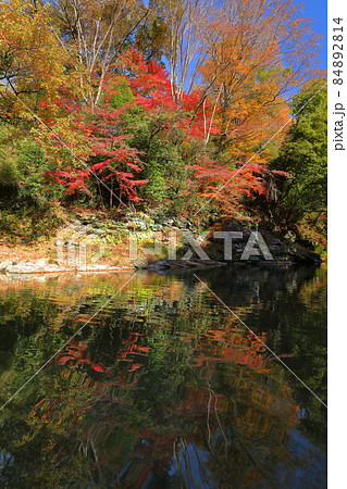埼玉県比企郡嵐山町鎌形　嵐山渓谷の紅葉と槻川水面の水鏡 84892814