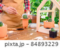Planting cactus and growing tree. Home gardening and recreation activity at botanic garden. 84893229