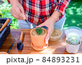 Planting cactus and growing tree. Home gardening and recreation activity at botanic garden. 84893231