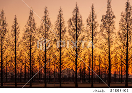 「埼玉県」荒川河川敷から望む美しい夕景 「埼玉県」荒川河川敷から望む美しい夕景 84893401