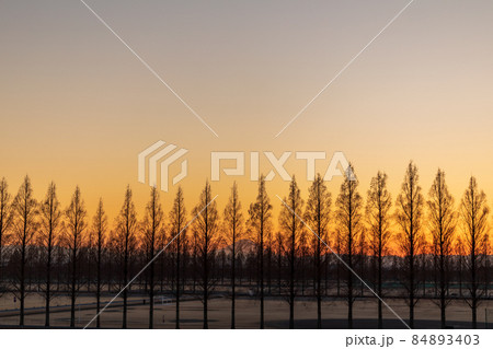 「埼玉県」荒川河川敷から望む美しい夕景 84893403