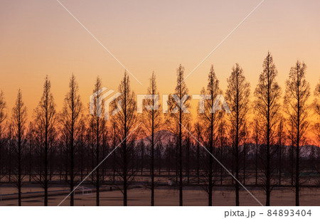 「埼玉県」荒川河川敷から望む美しい夕景 84893404