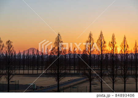 「埼玉県」荒川河川敷から望む美しい夕景 84893406