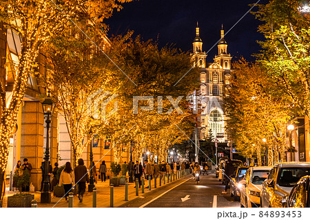 《兵庫県》神戸旧居留地・冬のイルミネーション 84893453