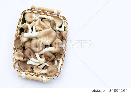 Fresh oyster mushroom in bamboo basket on white background. Fresh oyster mushroom in bamboo basket on white background. 84894164