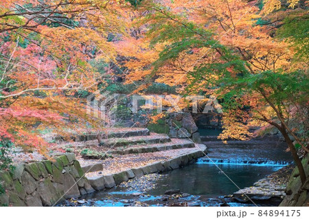 川沿いの紅葉 84894175