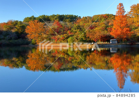 埼玉県比企郡吉見町黒岩 八丁湖公園八丁湖の紅葉の水鏡 埼玉県比企郡吉見町黒岩 八丁湖公園八丁湖の紅葉の水鏡 84894285
