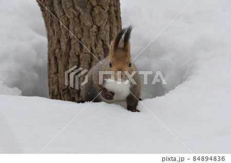 宝探し 宝探し 84894836