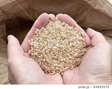 体に良い玄米 手のひらの玄米 体に良い玄米 手のひらの玄米 84895079