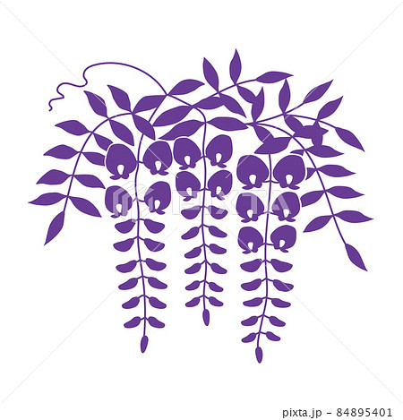 藤の花のシルエットイラスト 紫色 藤の花のシルエットイラスト 紫色 84895401