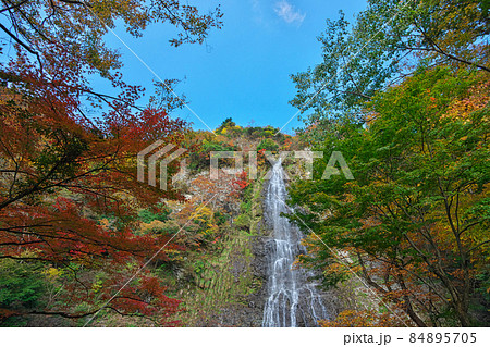 《兵庫県》晴れの日、天滝渓谷の風景【11月】 《兵庫県》晴れの日、天滝渓谷の風景【11月】 84895705