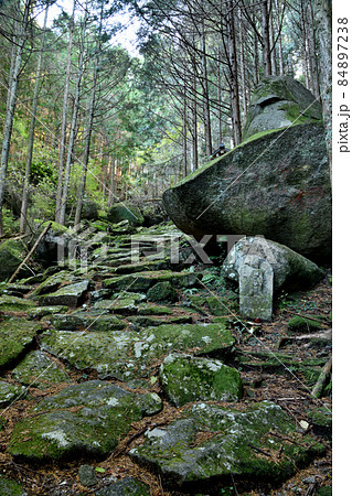 八鬼山越え(伊勢古道、蓮華石と烏帽子石)　【三重県尾鷲市】 84897238