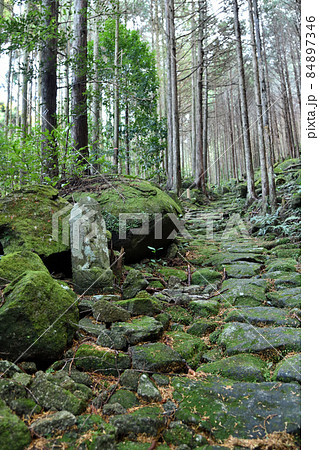 八鬼山越え(伊勢古道)　【三重県尾鷲市】 84897346