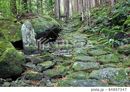 八鬼山越え(伊勢古道) 【三重県尾鷲市】 八鬼山越え(伊勢古道) 【三重県尾鷲市】 84897347