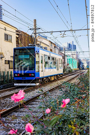 バラに見送られながら市街地を走り抜ける東京の路面電車 84897812
