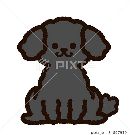かわいいトイプードル 黒のイラスト素材