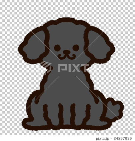 かわいいトイプードル 黒のイラスト素材