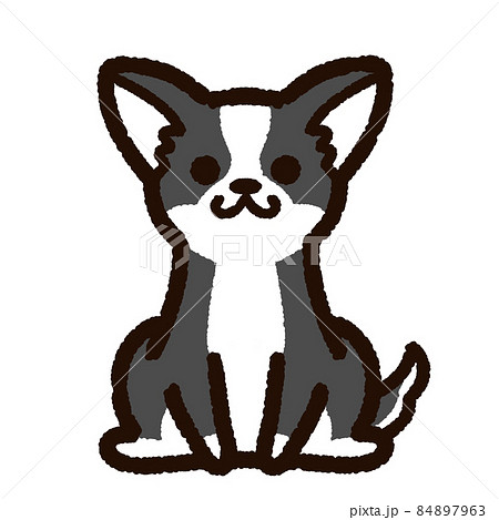 かわいいチワワ 黒白のイラスト素材