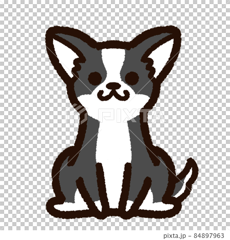 かわいいチワワ 黒白のイラスト素材
