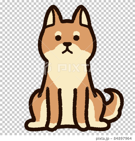 かわいい柴犬 茶色のイラスト素材