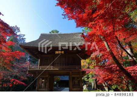 埼玉県新座市野火止　臨済宗妙心寺派金鳳山平林寺境内林の紅葉と山門 84898183