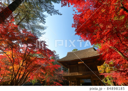 埼玉県新座市野火止　臨済宗妙心寺派金鳳山平林寺境内林の紅葉と山門 84898185