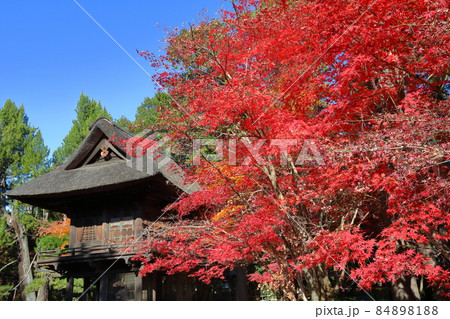 埼玉県新座市野火止　臨済宗妙心寺派金鳳山平林寺境内林の紅葉と山門 84898188