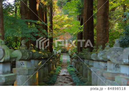埼玉県新座市野火止　臨済宗妙心寺派金鳳山平林寺境内灯篭の列と紅葉 84898518