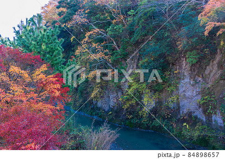（千葉県）富津市・もみじロードの紅葉 84898657