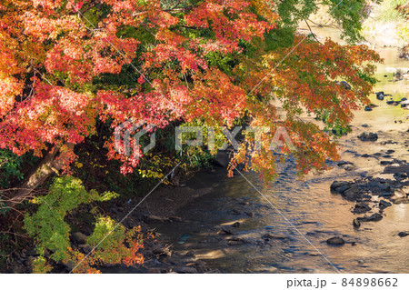 （千葉県）富津市・もみじロードの紅葉 84898662