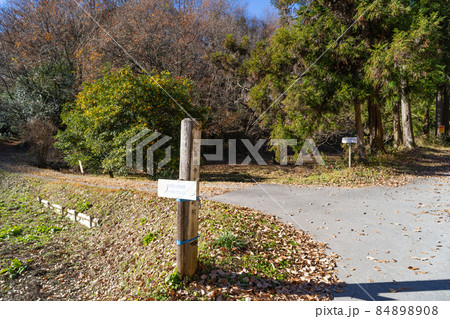 官ノ倉山の登山口（埼玉県小川町） 84898908