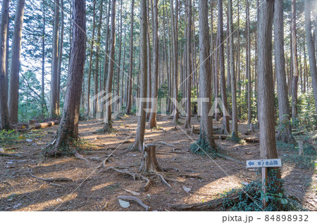 官ノ倉山の山頂付近の尾根（埼玉県小川町） 84898932