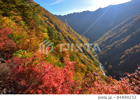 越後駒ケ岳グシガハナへの登山道から見た水無川の紅葉とオカメノゾキの稜線 越後駒ケ岳グシガハナへの登山道から見た水無川の紅葉とオカメノゾキの稜線 84899232