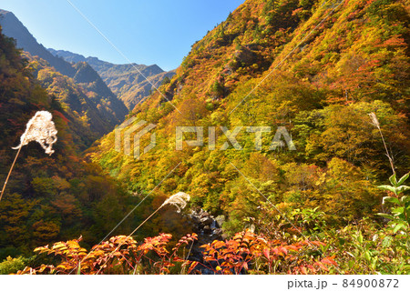 越後三山水無川の紅葉 高倉沢出合いから八海山方面を見る 越後三山水無川の紅葉 高倉沢出合いから八海山方面を見る 84900872