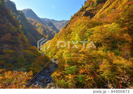 越後三山水無川の紅葉 高倉沢出合いから八海山方面を見る 越後三山水無川の紅葉 高倉沢出合いから八海山方面を見る 84900873