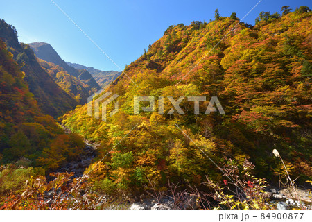 越後三山水無川の紅葉 高倉沢出合いから八海山方面を見る 越後三山水無川の紅葉 高倉沢出合いから八海山方面を見る 84900877