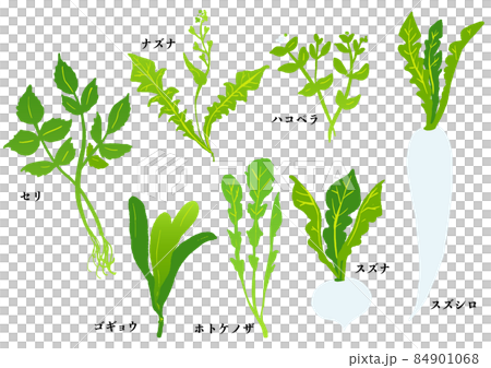 Seven herbs of spring, seven herbs porridge, chickweed chickweed, henbit deadnettle, shepherd's purse 84901068