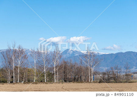 山形村から見た雪の美ヶ原高原 山形村から見た雪の美ヶ原高原 84901110