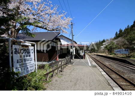 柳津駅の桜(福島県・柳津町) 柳津駅の桜(福島県・柳津町) 84901410