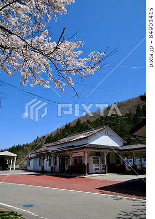 柳津駅の桜(福島県・柳津町) 柳津駅の桜(福島県・柳津町) 84901415