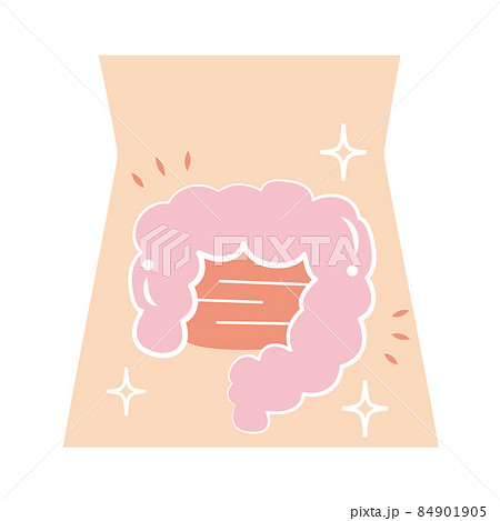 とても健康で超綺麗な腸 84901905
