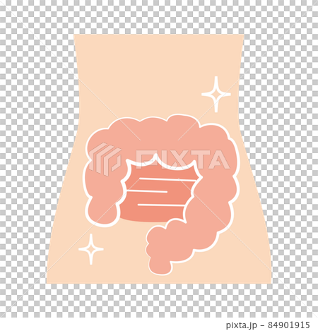 Healthy and reasonably clean intestines 84901915