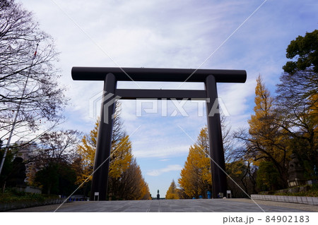 靖国神社の第一鳥居から見る12月の景色　 84902183