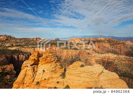 Zion Zion 84902368