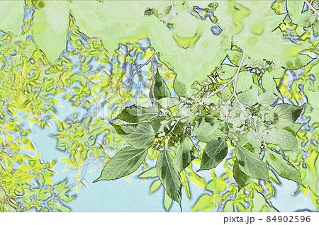 イラスト 桑の実 イラスト 桑の実 84902596