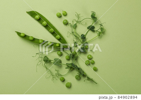 Green pea pods, seeds and twigs on green background 84902894
